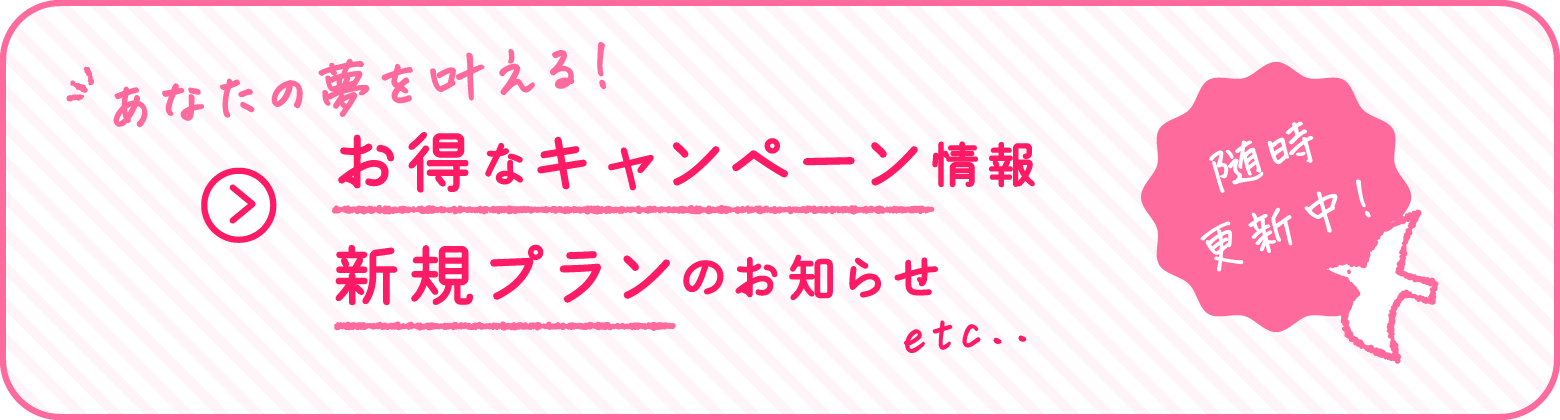 あなたの夢を叶える！お得なキャンペーン情報、新規プランのお知らせ etc. 随時更新中！